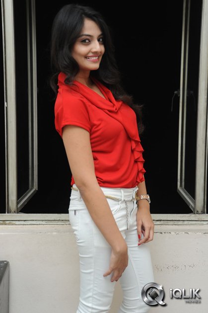 Nikitha-Narayan-at-Ladies-and-Gentlemen-Movie-First-Look-Launch